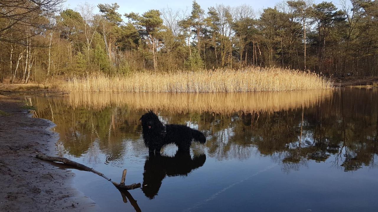 De Heidestroper Bed and Breakfast Eindhoven Buitenkant foto